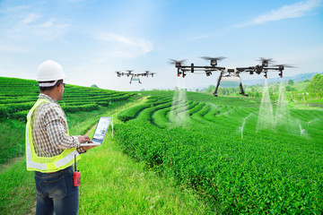 Technician farmer use wifi computer control agriculture drone fly to sprayed fertilizer on the green tea fields, Smart farm 4.0 concept