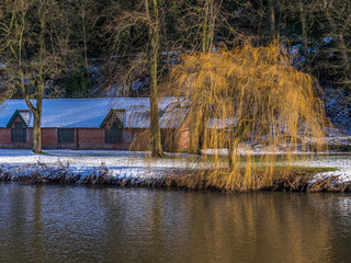 DURHAM, COUNTY DURHAM/UK - JANUARY 19 : Weeping Willow on the bank of the River Wear in Durham,...