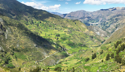 View of fields in the way to Huanuco, Peru