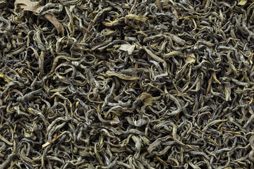 Tea herbs texture. Green tea background. Organic dried green tea leaves.