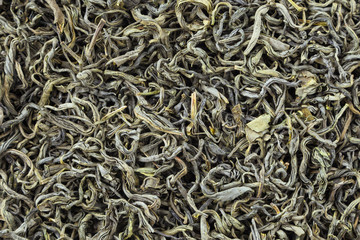 Tea herbs texture. Green tea background. Organic dried green tea leaves.