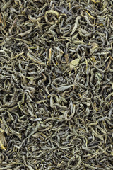 Tea herbs texture. Green tea background. Organic dried green tea leaves.