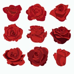  set of red roses - obrazy, fototapety, plakaty