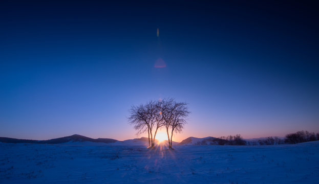 The landscape of Bashang in Hebei, China