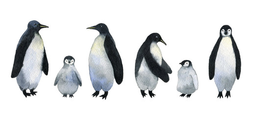 Penguins. Collection of adults penguins with cute baby penguins. Watercolor hand drawn illustration isolated on white background