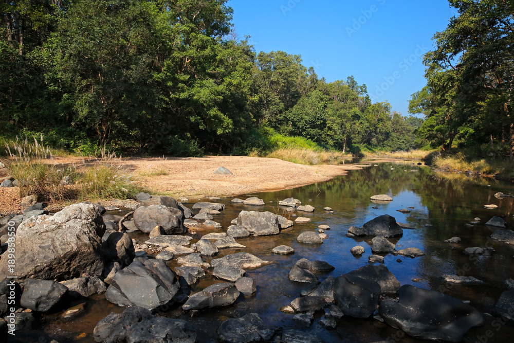 Sticker Landscape with a river and forest trees, Kanha National Park, India.