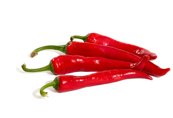 Chili pepper isolated on a white background