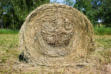 Hay roll on a summer day