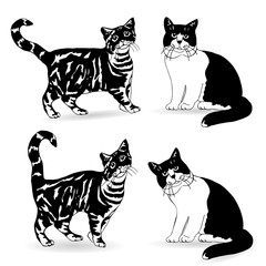 Black silhouette of cat collection, cartoon character on white background,