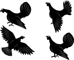 capercaillie birds vector set, isolated on white vector.
