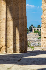 Fototapeta premium Classical greek temple at ruins of ancient city Paestum, Italy