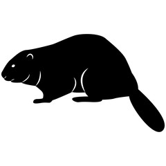 Vector image of a silhouette of a beaver on a white background