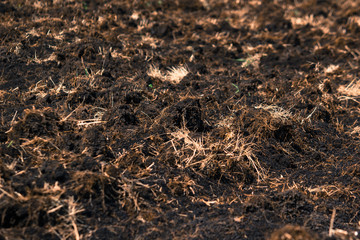Ploughed soil in the spring as the background