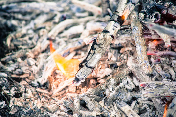 Embers of a burnt-out fire. A fire in the woods, barbecue.
