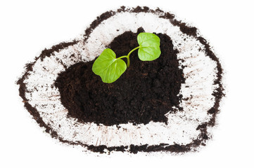 Plant growing out of a heart shaped soil
