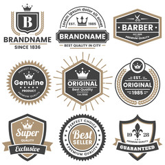 Vintage Retro Vector Logo for banner