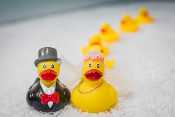 wedding ducks