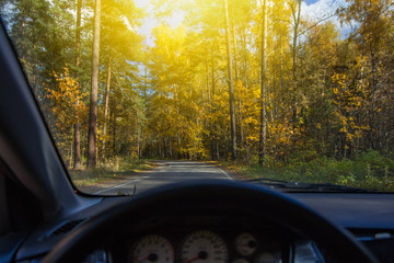 View from the car in the autumn day