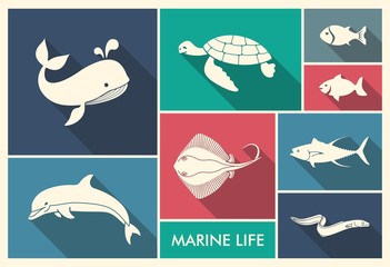 The silhouettes of sea creatures