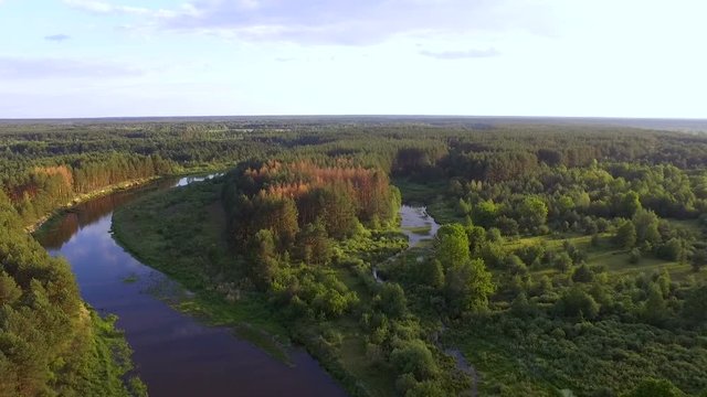 A twisting river flows among the forest. The river Uzh. Chernobyl zone. Aerial view