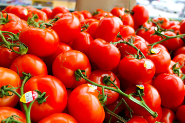 Fresh Red tomato