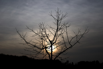 muenster sunset winter