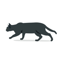 Black cat hunting with isolated white background vector illustration.Black cat in front of a white background