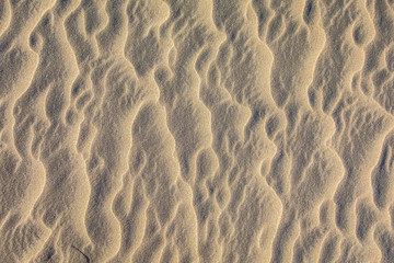 Dünenlandschaft auf Gran Canaria