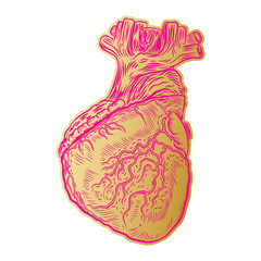 Golden Human heart in hand drawn style. Anatomical sketch concept in gold for flesh tattoo or print t-shirt, smart phone, poster. Fashionable patch heart sticker. Doodle pop art sketch badge. Vector.