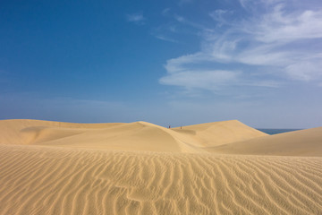 Fototapeta na wymiar Dünenlandschaft auf Gran Canaria