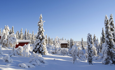 Norefjell / Norway: Dreamy winter landscape