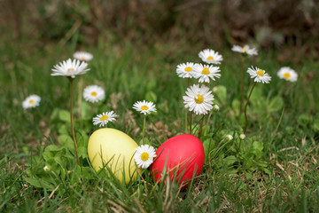 Red and yellow easter egss