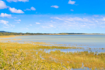 Isimangaliso Wetland Park landscape