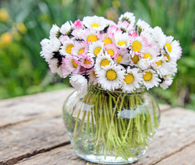 Alle Liebe, Glückwunsch, Danke: Strauß aus Gänseblümchen in kleiner Vase :)