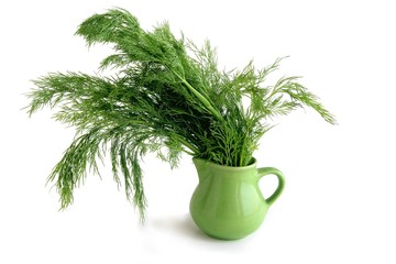 green dill in small jug