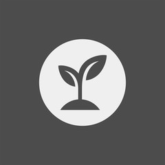 Sprout flat vector icon