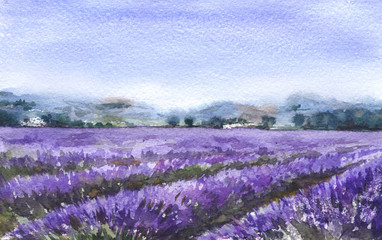 Fototapeta premium Landscape with Lavender Field