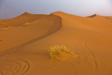 Sand dunes in Erg Chebbi at sunrise, Sahara desert, Morocco, Africa