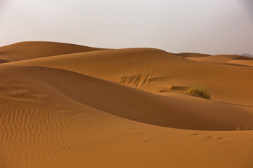 Fototapeta na wymiar Sand dunes in Erg Chebbi at sunrise, Sahara desert, Morocco, Africa