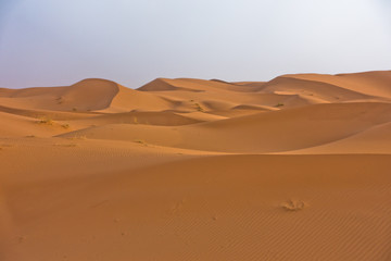 Fototapeta na wymiar Sand dunes in Erg Chebbi at sunrise, Sahara desert, Morocco, Africa