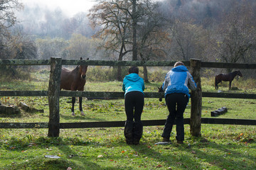 the girls are watching the horses