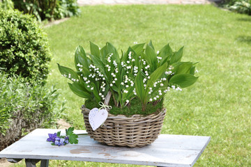 Maigl&ouml;ckchen-Korb mit Herzanh&auml;nger