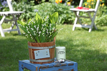 Duftende Maigl&ouml;ckchen im Holzk&uuml;bel