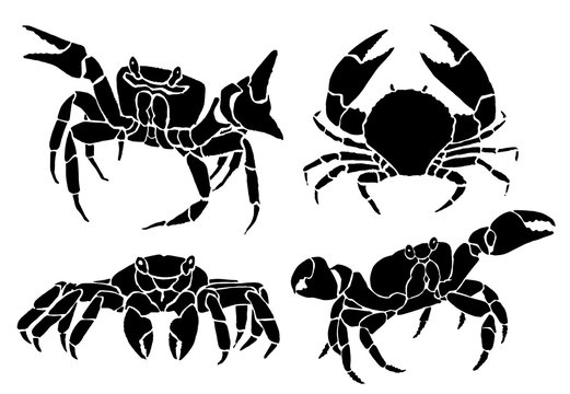 Graphical Set Of Crabs Isolated On White Background,vector Sea Food Illustration