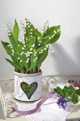 Maigl&ouml;ckchen in herzlicher Ummantelung