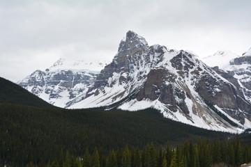 Single Peak