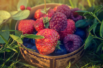Ripe red strawberries and raspberries, lying in a carved wooden dish with drops of rain, the authentic substrate of the grass in the garden in a rustic style.