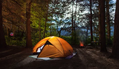 Illuminated tent on a camp site in the forrest at night © grobima