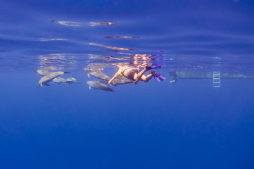 Fototapeta na wymiar Tourist Swimming with Dolphins