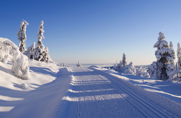 Norefjell / Norway: Perfect conditions for cross-country skiing